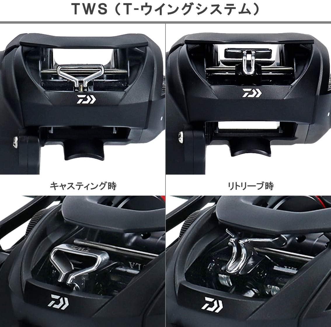 タトゥーラ TW 19